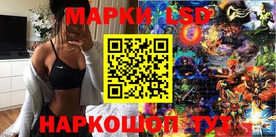 МДПВ Новодвинск